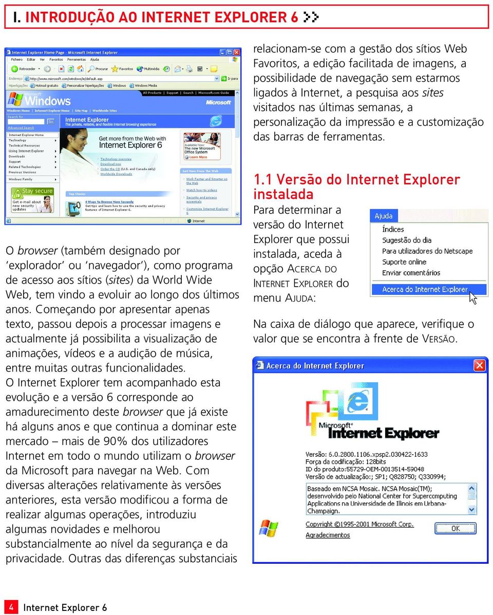 O browser (também designado por explorador ou navegador ), como programa de acesso aos sítios (sites) da World Wide Web, tem vindo a evoluir ao longo dos últimos anos.