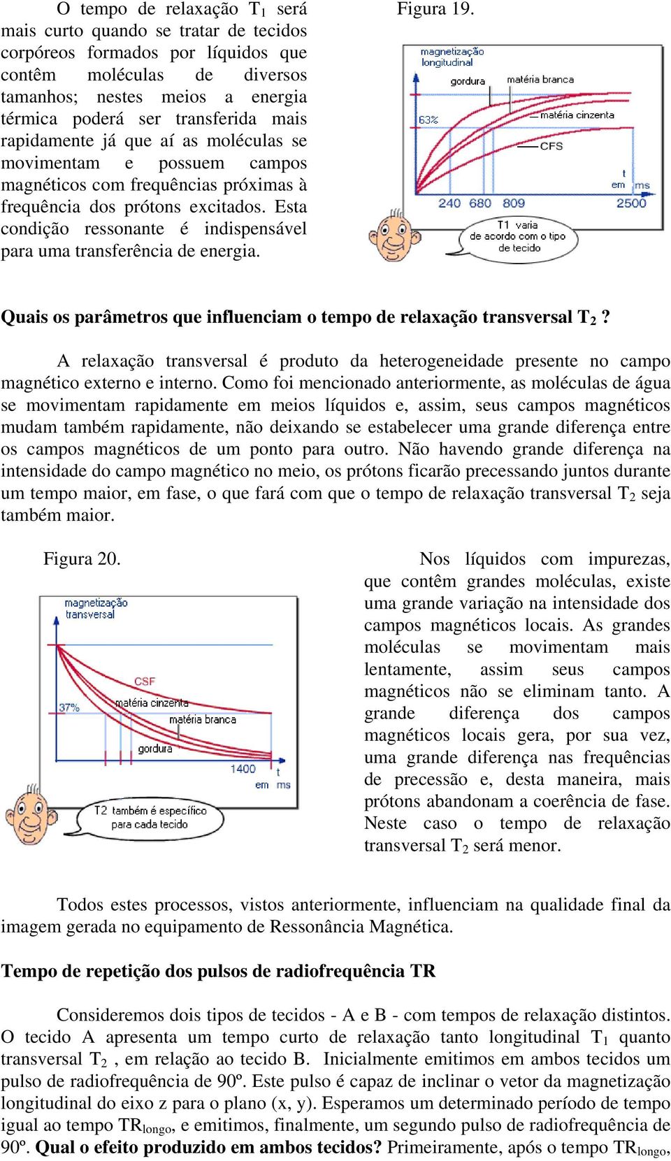 Esta condição ressonante é indispensável para uma transferência de energia. Figura 19. Quais os parâmetros que influenciam o tempo de relaxação transversal T 2?