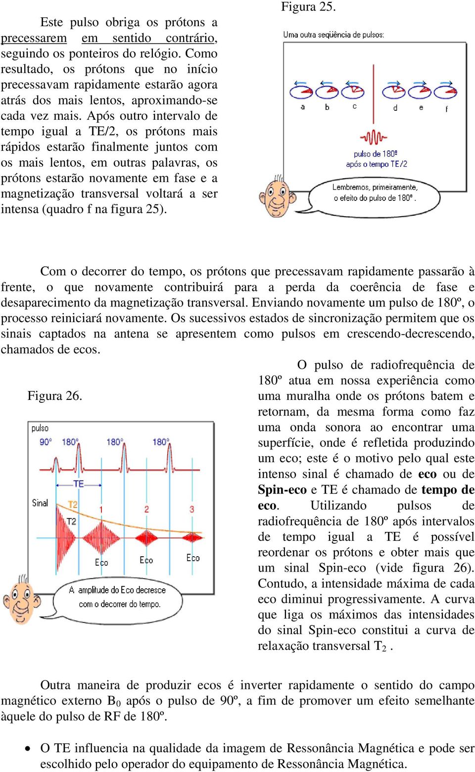 Após outro intervalo de tempo igual a TE/2, os prótons mais rápidos estarão finalmente juntos com os mais lentos, em outras palavras, os prótons estarão novamente em fase e a magnetização transversal