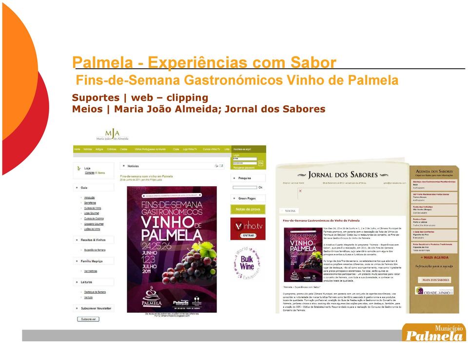 Palmela Suportes web