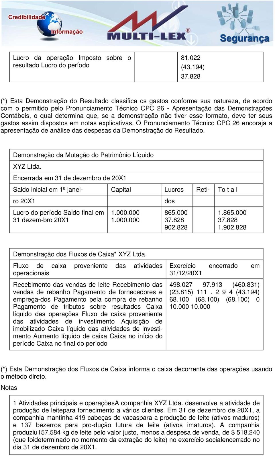 determina que, se a demonstração não tiver esse formato, deve ter seus gastos assim dispostos em notas explicativas.