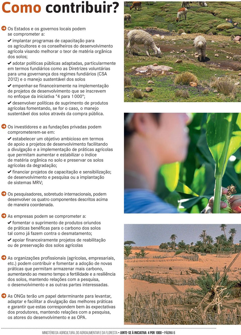 orgânica dos solos; adotar políticas públicas adaptadas, particularmente em termos fundiários como as Diretrizes voluntárias para uma governança dos regimes fundiários (CSA 2012) e o manejo