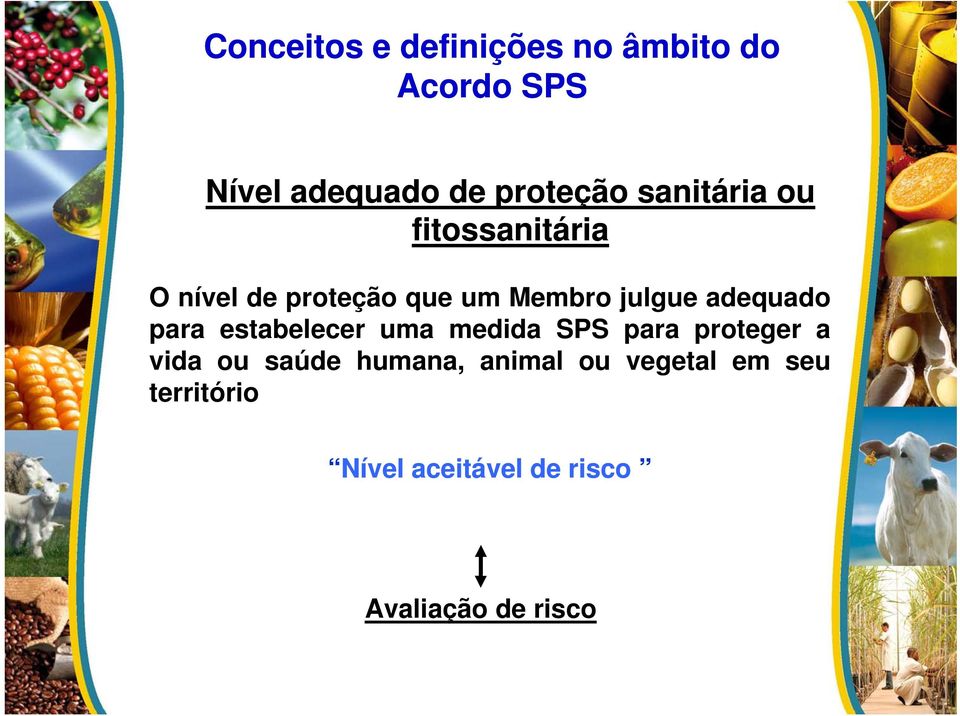 adequado para estabelecer uma medida SPS para proteger a vida ou saúde