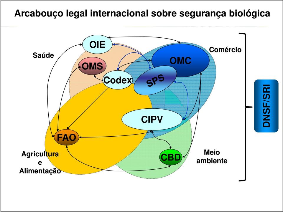 Codex CIPV OMC Comércio DNSF F/SRI