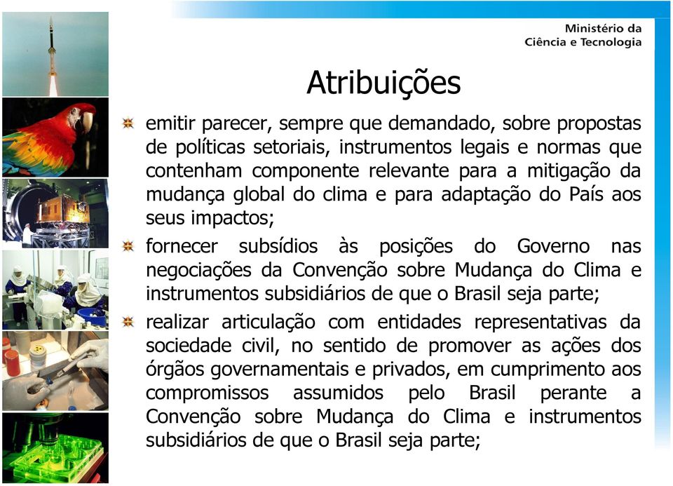 instrumentos subsidiários de que o Brasil seja parte; realizar articulação com entidades representativas da sociedade civil, no sentido de promover as ações dos órgãos