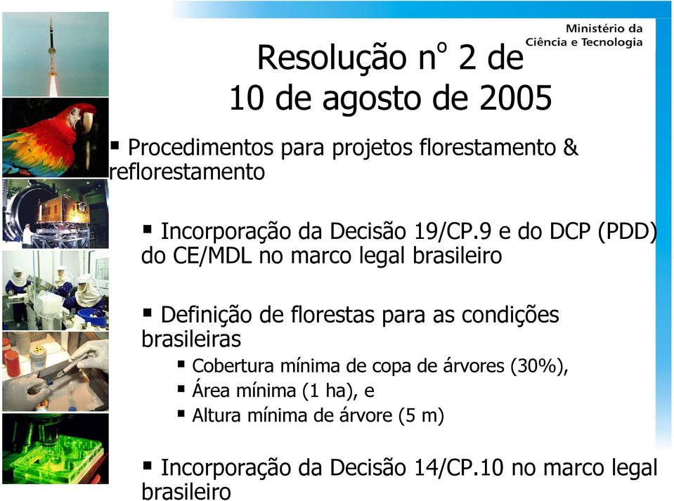 9 e do DCP (PDD) do CE/MDL no marco legal brasileiro Definição de florestas para as condições