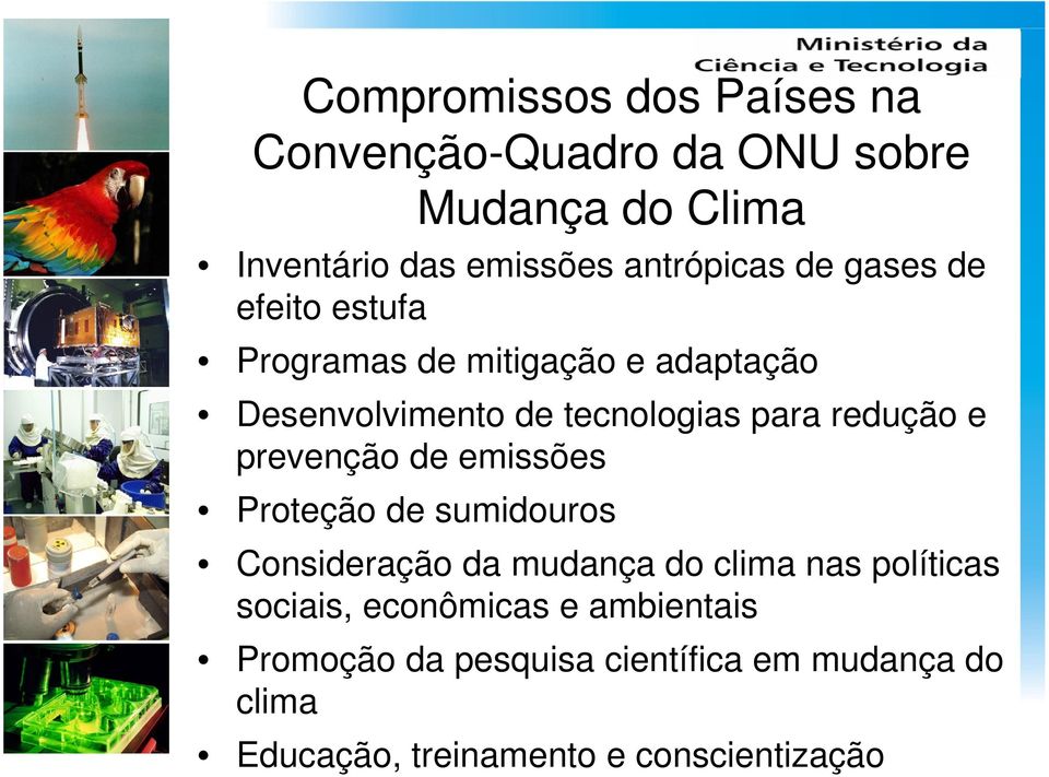 redução e prevenção de emissões Proteção de sumidouros Consideração da mudança do clima nas políticas