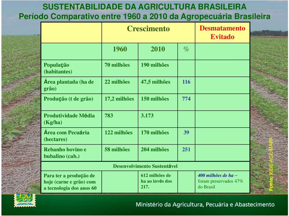 (Kg/ha) 783 3.173 Área com Pecuária (hectares) Rebanho bovino e bubalino (cab.