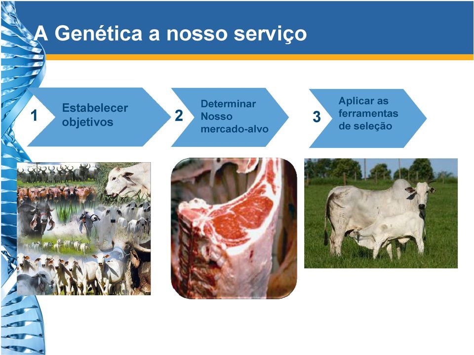 Determinar Nosso mercado-alvo