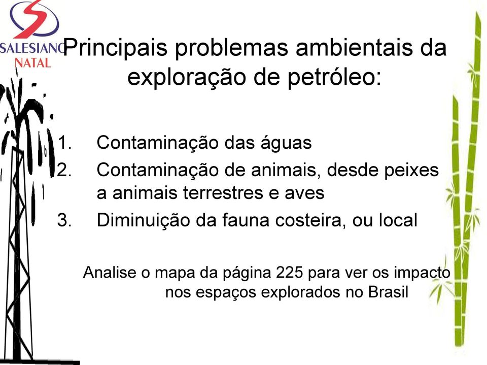 Contaminação de animais, desde peixes a animais terrestres e aves 3.