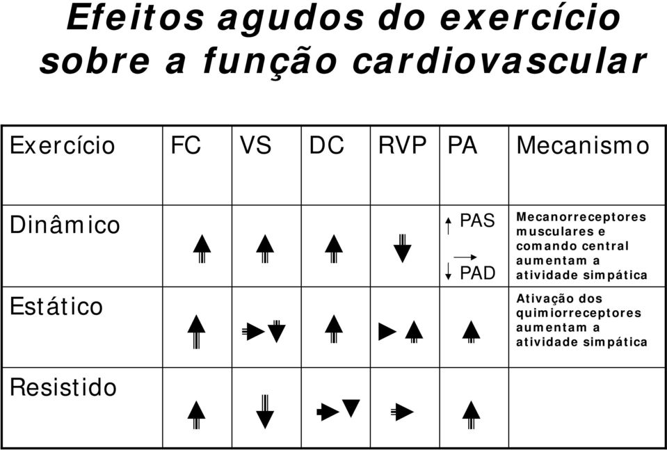 musculares e comando central aumentam a atividade simpática