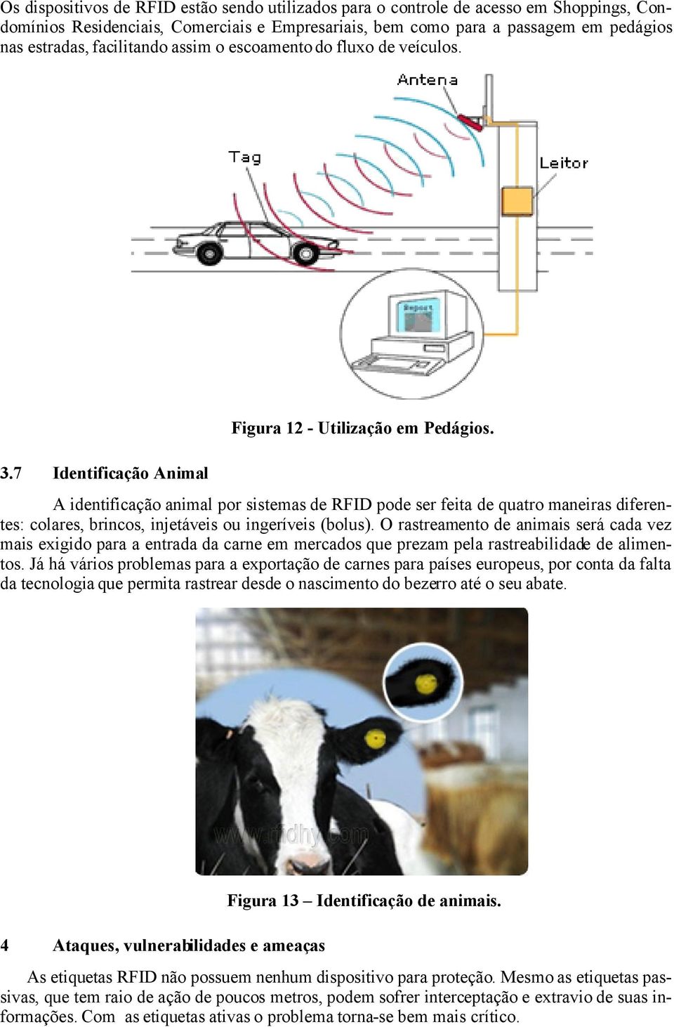 A identificação animal por sistemas de RFID pode ser feita de quatro maneiras diferentes: colares, brincos, injetáveis ou ingeríveis (bolus).