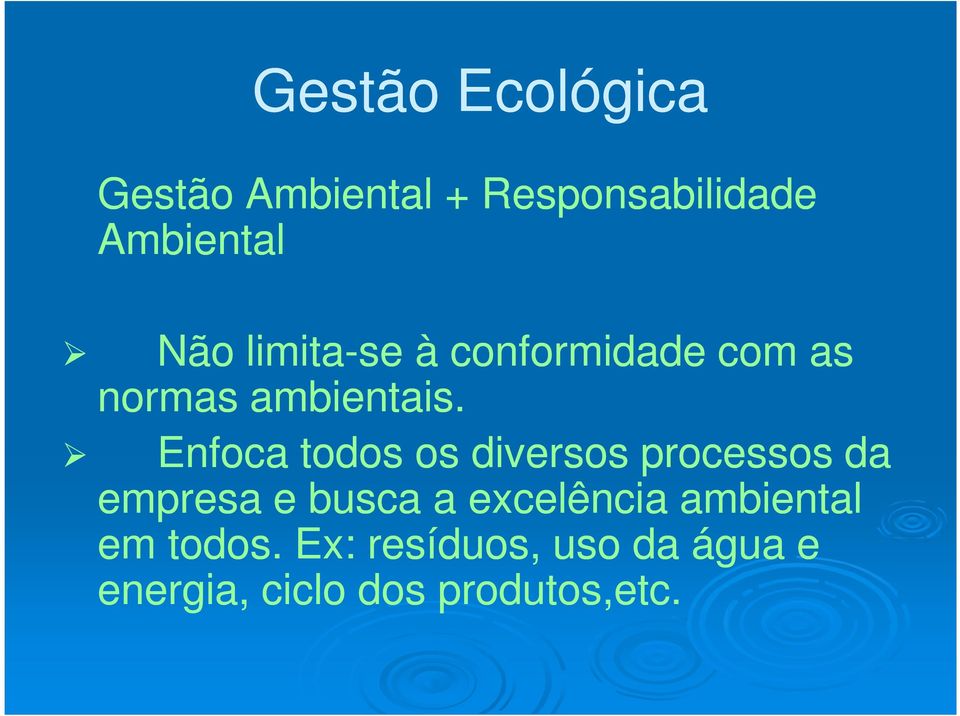 Enfoca todos os diversos processos da empresa e busca a excelência