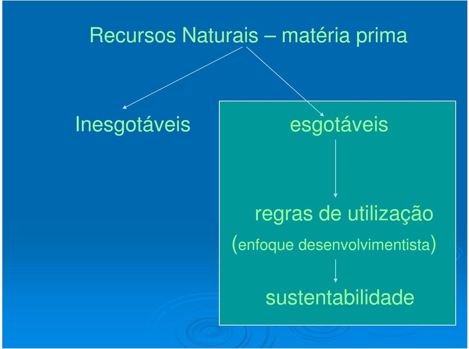 regras de utilização (enfoque