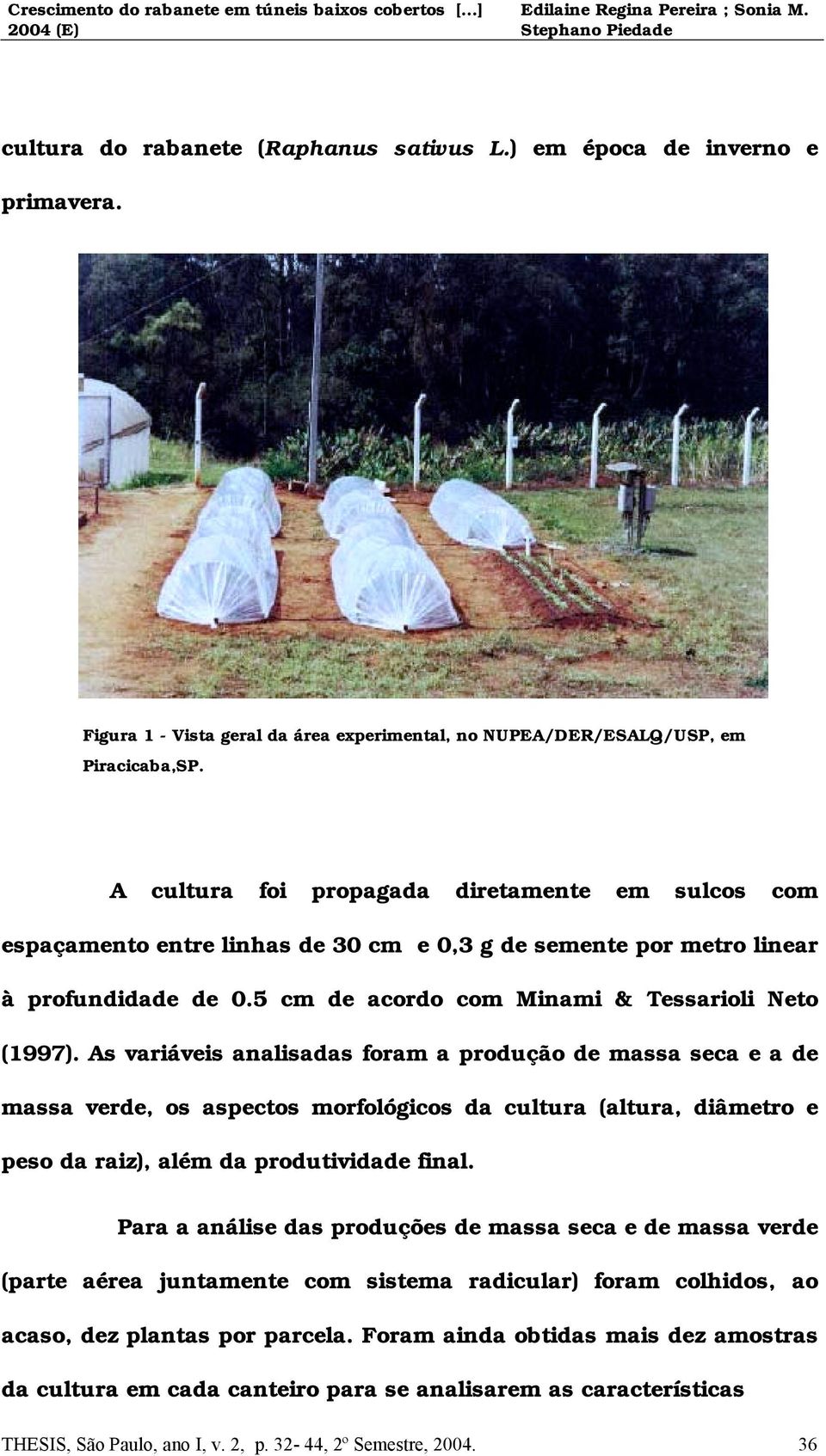 As variáveis analisadas foram a produção de massa seca e a de massa verde, os aspectos morfológicos da cultura (altura, diâmetro e peso da raiz), além da produtividade final.