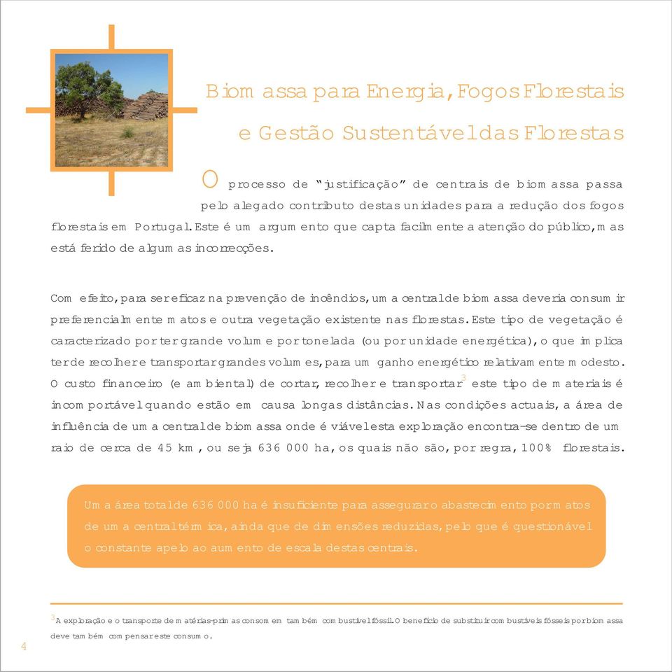 Com efeito, para ser eficaz na prevenção de incêndios, uma central de biomassa deveria consumir preferencialmente matos e outra vegetação existente nas florestas.