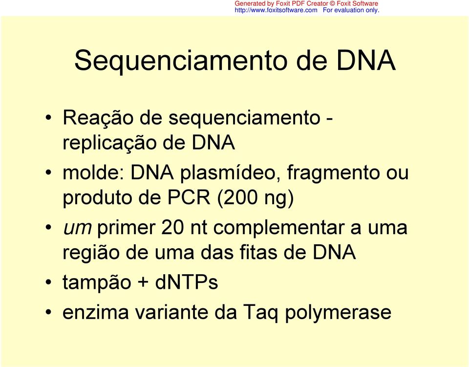 (200 ng) um primer 20 nt complementar a uma região de uma