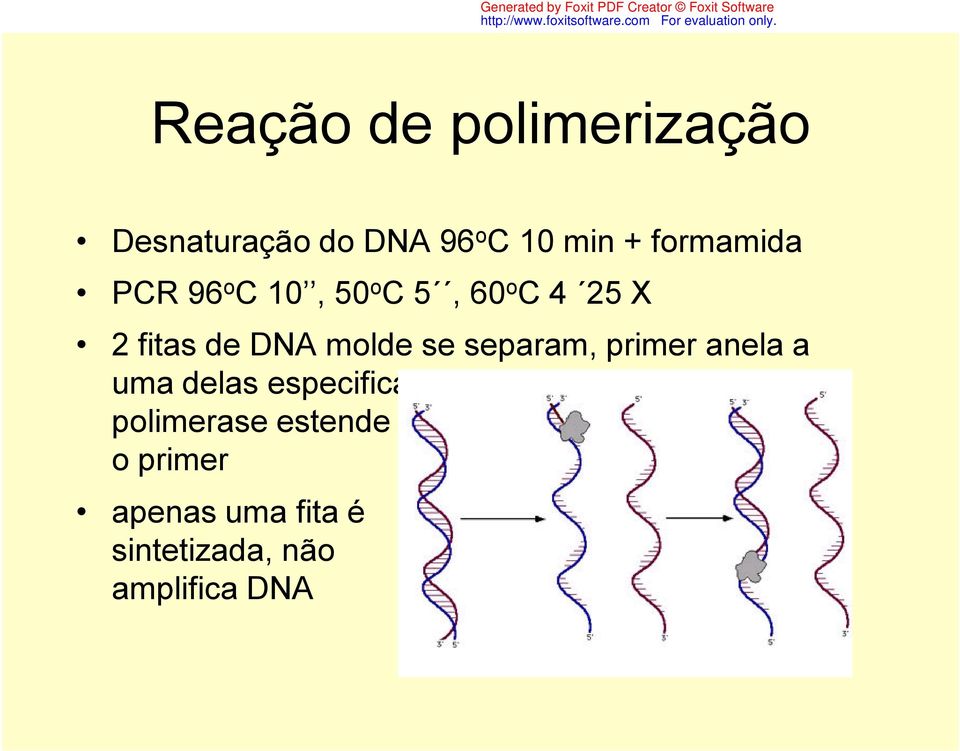 molde se separam, primer anela a uma delas especificamente,