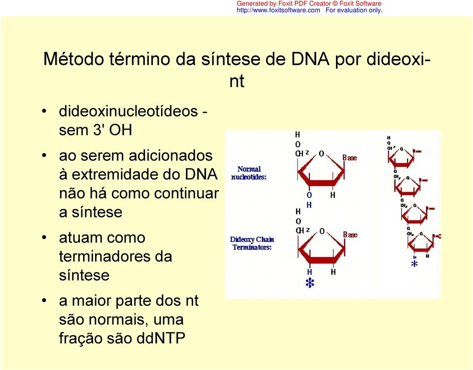 extremidade do DNA não há como continuar a síntese atuam