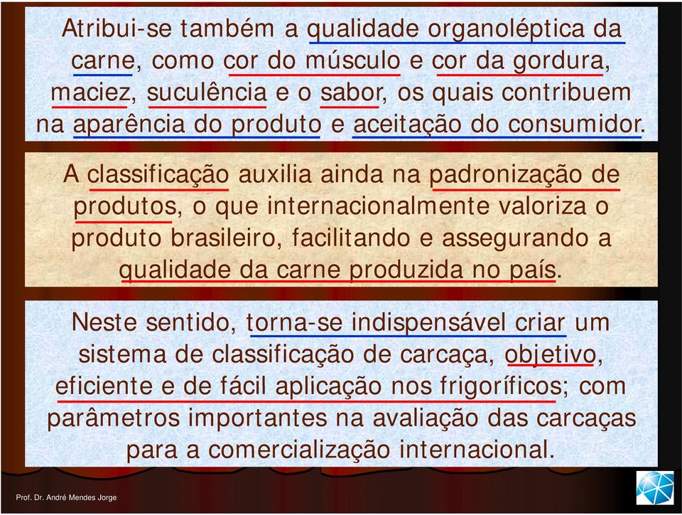A classificação auxilia ainda na padronização de produtos, o que internacionalmente valoriza o produto brasileiro, facilitando e assegurando a qualidade