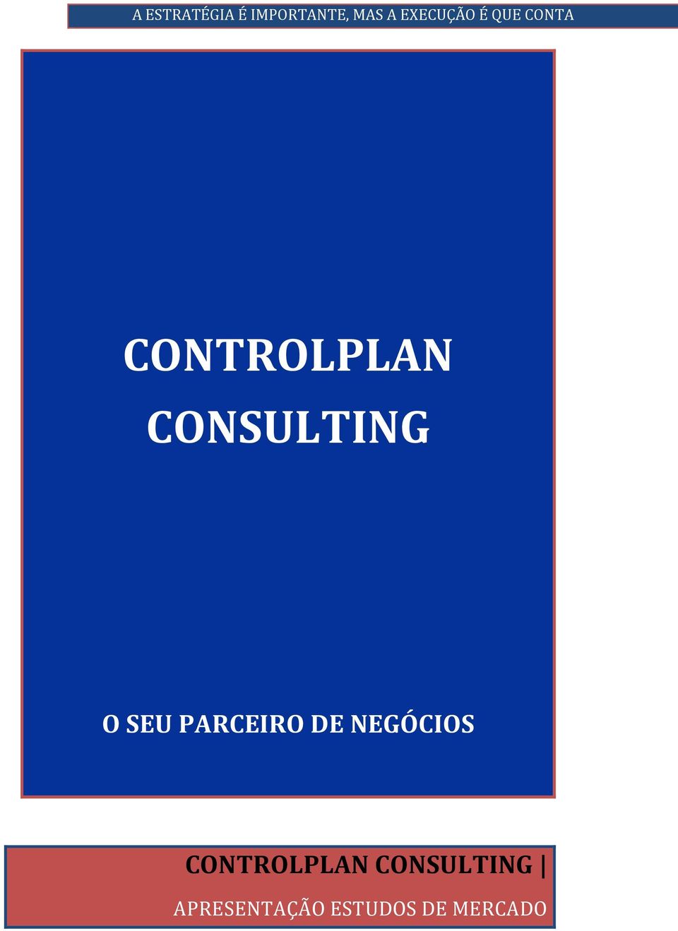 CONSULTING O SEU PARCEIRO DE NEGÓCIOS