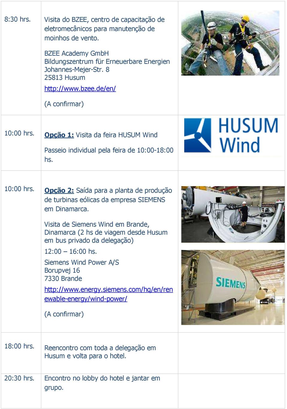 Visita de Siemens Wind em Brande, Dinamarca (2 hs de viagem desde Husum em bus privado da delegação) 12:00 16:00 hs. Siemens Wind Power A/S Borupvej 16 7330 Brande http://www.energy.siemens.