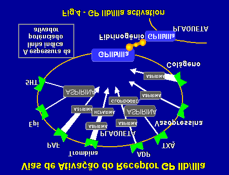 Assim, apartir desse ponto não mais se admitia que os antitrombínicos e os antitrombóticos não fizessem parte do arsenal terapêutico para tratamento da AI e/ou IMSST.