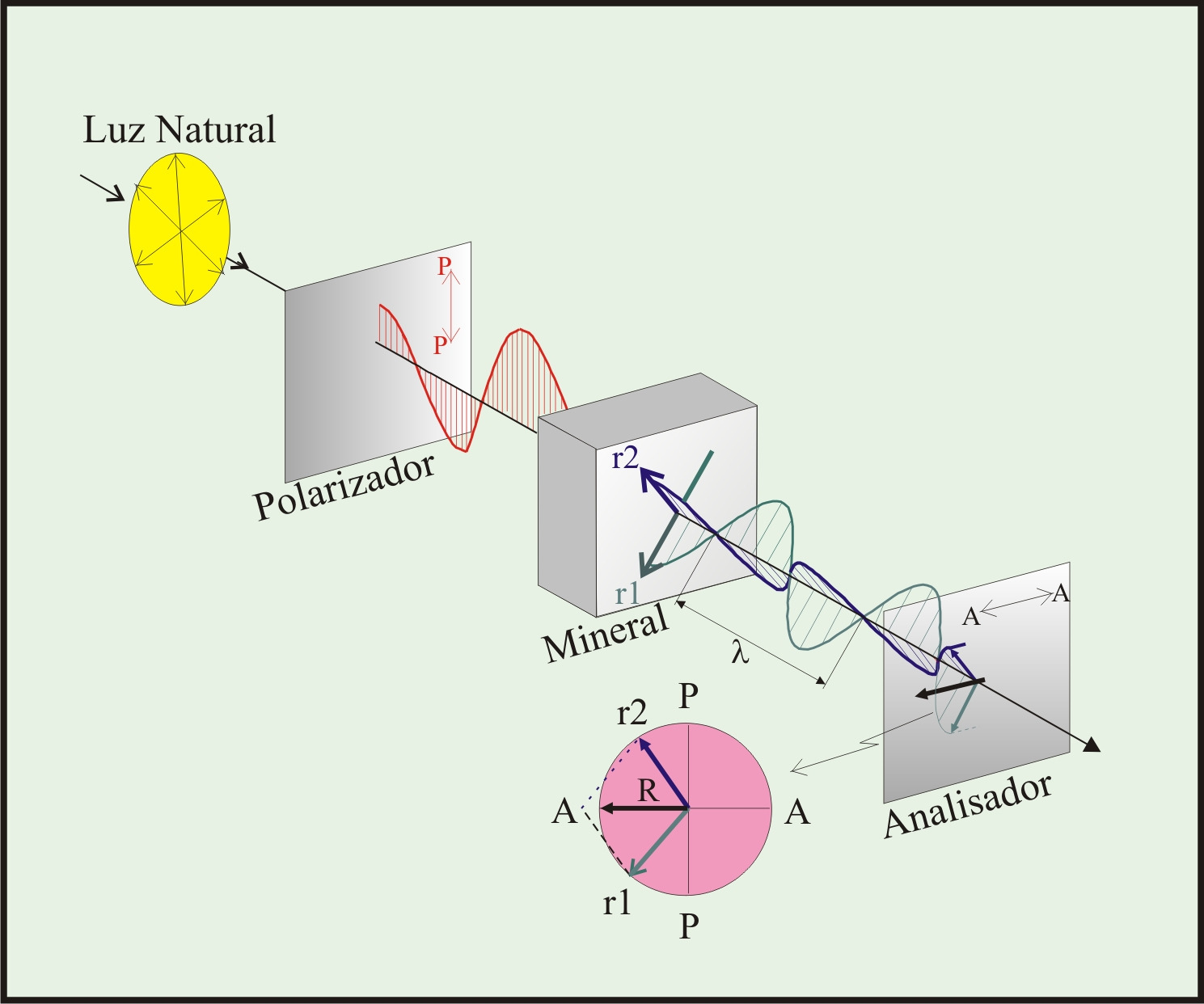 A função do Analisador Atraso entre duas ondas ortogonais: A função do Analisador Introdução: Atraso e Interferência Mineral Anisotrópico