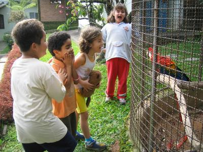 Castor (Colônia) IDADE: 5 a 6 PROGRAMA: adaptar, participar e compartilhar Cerimônia de alimentar o castor - aprender a