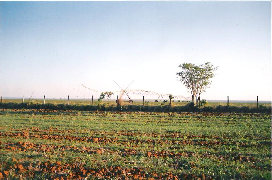 PRODUÇÃO DE ALIMENTOS E O USO ASSIVO DE AGROTÓXICOS NO BRASIL Censo agropecuário Brasileiro, 2006 -