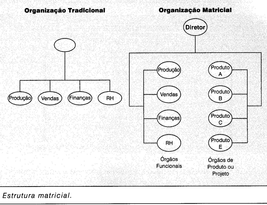 3.1. Arranjo Organizacional Estrutura Matricial É denominada matriz ou organização em grade.
