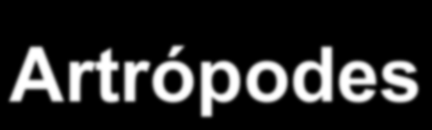Artrópodes Características marcantes: Corpos segmentados Presença de patas articuladas Presença de exoesqueleto Pluricelulares Sistema circulatório aberto Heterótrofos Habitat: aquático, terrestre e