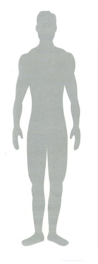 Distribuição das neoplasias mais frequentes em adultos no sexo masculino, HC-UFPR, de 2007 a 2009 Localização masc. % próstata 156 12,6 S. hematop.