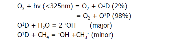 Radical hidroxila = OH Responsável por quase metade do total de