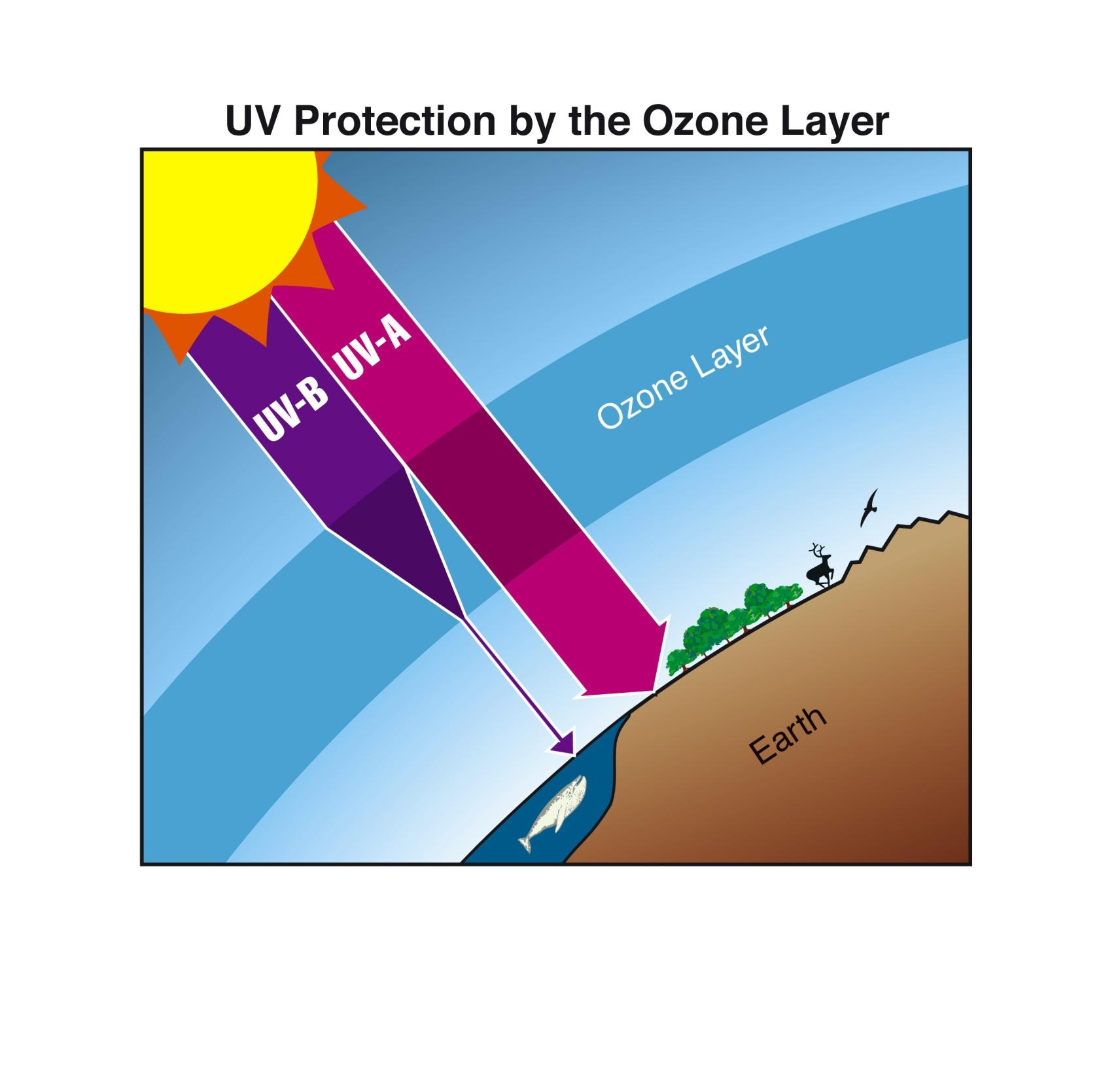 Proteção da radiação UV a partir da camada de ozônio Terra UVC (100 280 nm) absorção por