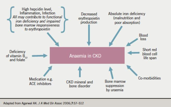 Anemia da