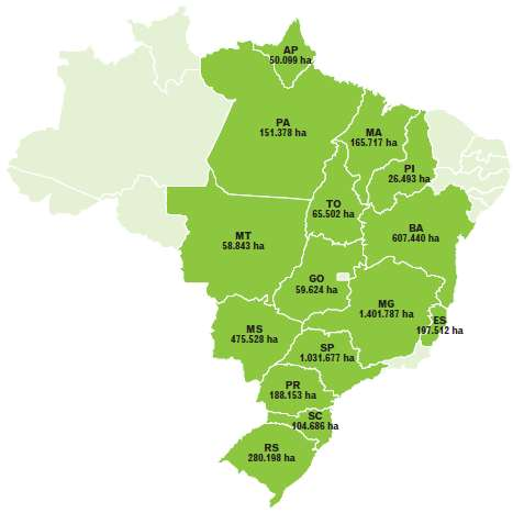 2. INTRODUÇÃO Área plantada com eucaliptos por estado ESTADO ÁREA PLANTADA Minas Gerais 1.401.787 São Paulo 1.031.677 Bahia 607.440 Mato Grosso do Sul 475.528 Rio Grande do Sul 280.