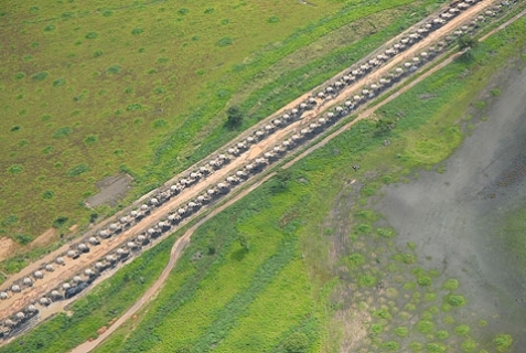 REFLEXOS EM OUTRAS REGIÕES DO PAÍS Para, Maranhão, Tocantins, Mato Grosso do