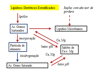 hidrogênios para promover a saturação, ficando apenas a cadeia carbônica com ligações simples (Figura 2).