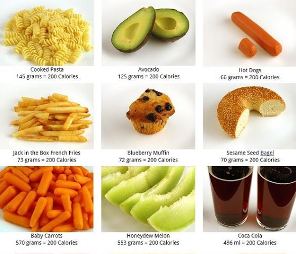 Vários Tipos de Alimentos