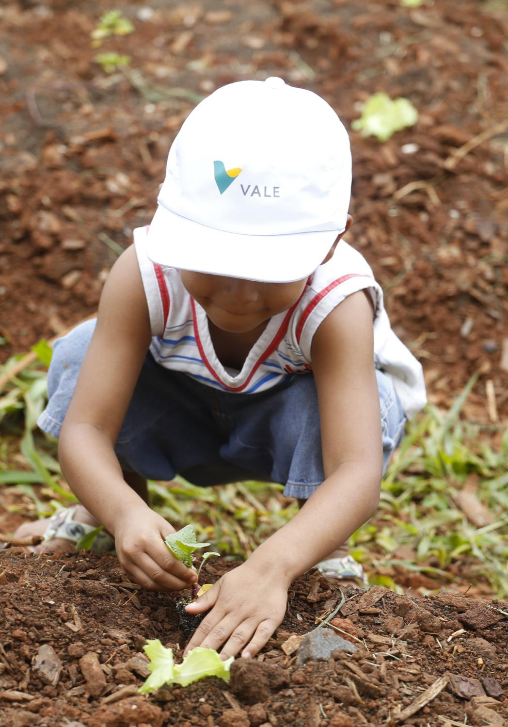 Crescer e evoluir juntos A Vale Fertilizantes se empenha em construir relacionamentos abertos com as