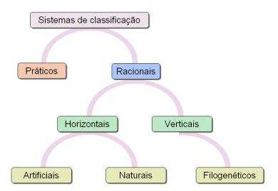 Evolução dos