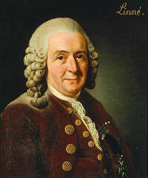 Karl von Linné (1707-1778) Médico e professor sueco que propôs no seu livro Systema Naturae,