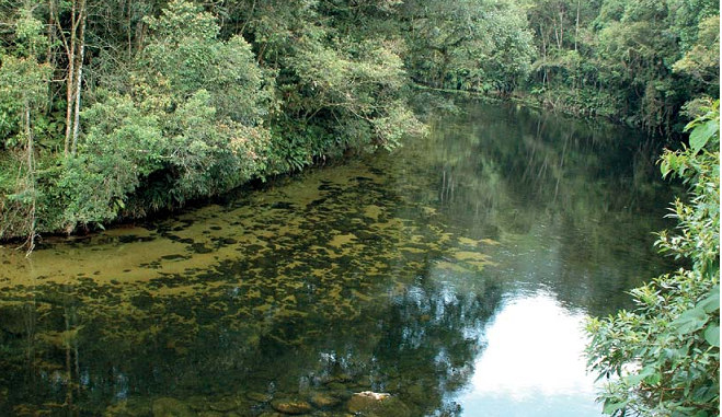 ZONA RIPÁRIA É um espaço tridimensional que contêm vegetação, solo e rio. Mata ciliar e floresta de galeria.