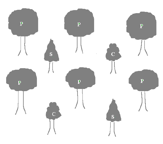 Os estudos sobre nutrição de espécies florestais nativas são ainda escassos.