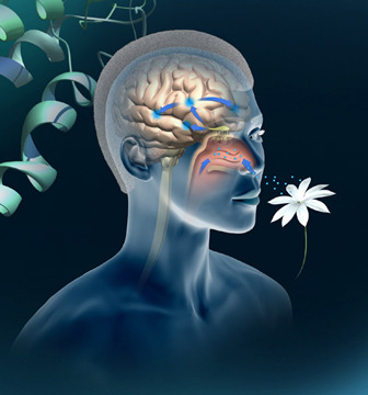 Disfunção olfatória Alterações no núcleo olfatório anterior: (hiposmia/anosmia - redução/perda na função do olfato) é um dos sinais que antecede os sintomas motores da doença de Parkinson; Observadas