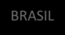 PROATER resultados prévios: caracterização da produção BRASIL Culturas anuais Culturas perenes Pecuária de corte