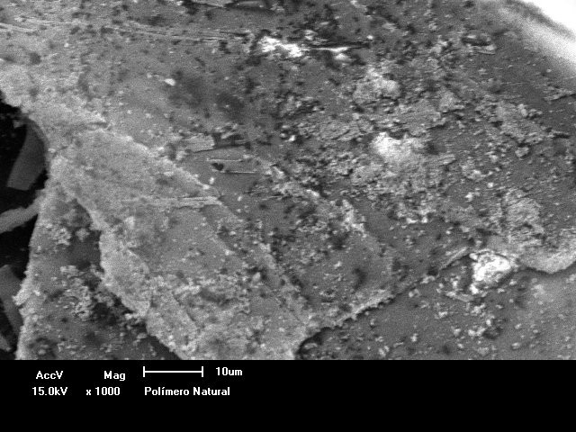 T C Figura 4 Curva DSC da Quitosana obtida na razão de aquecimento de 20 C/min sob atmosfera inerte de Nitrogênio.