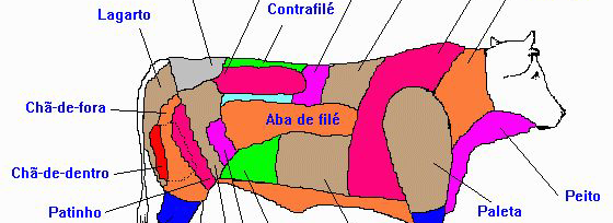 Pescado animal aquático obtido da água doce ou salgada por diferentes processos de captura ou pesca para fins alimentares.