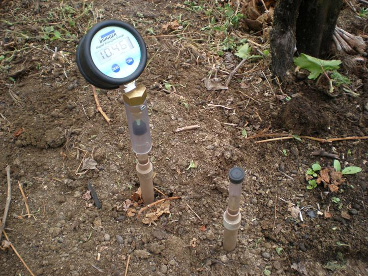 Manejo de Irrigação Uso de sensores para medida da umidade do solo => precisa ter maior capacitação para seu uso.